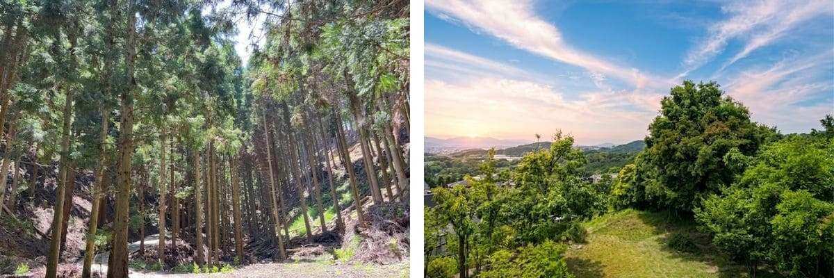 Tour 1 ngày ở Fukuoka: Chia sẻ kinh nghiệm du lịch & tham gia vé trượt zipline giá rẻ, lịch trình chi tiết tại Hisayama