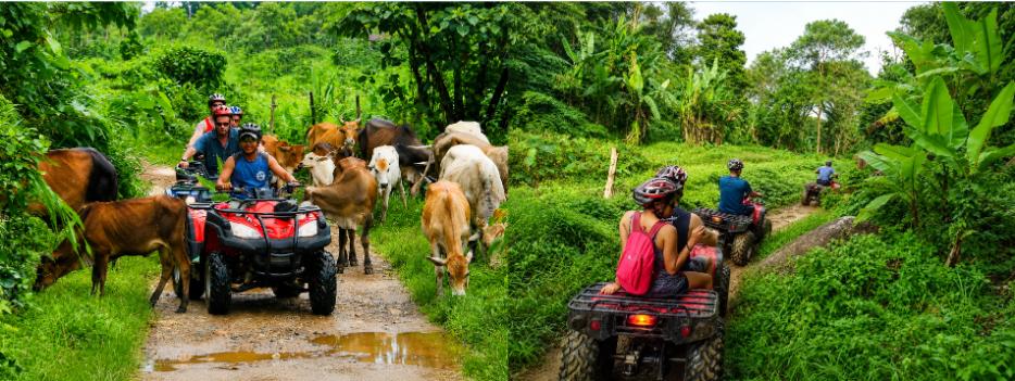 Lái xe vượt địa hình ATV kết hợp khám phá các địa điểm nổi tiếng trong tour du lịch 1 ngày ở Phuket, đặt vé tại Trekking - Camping để nhận ưu đãi giảm giá