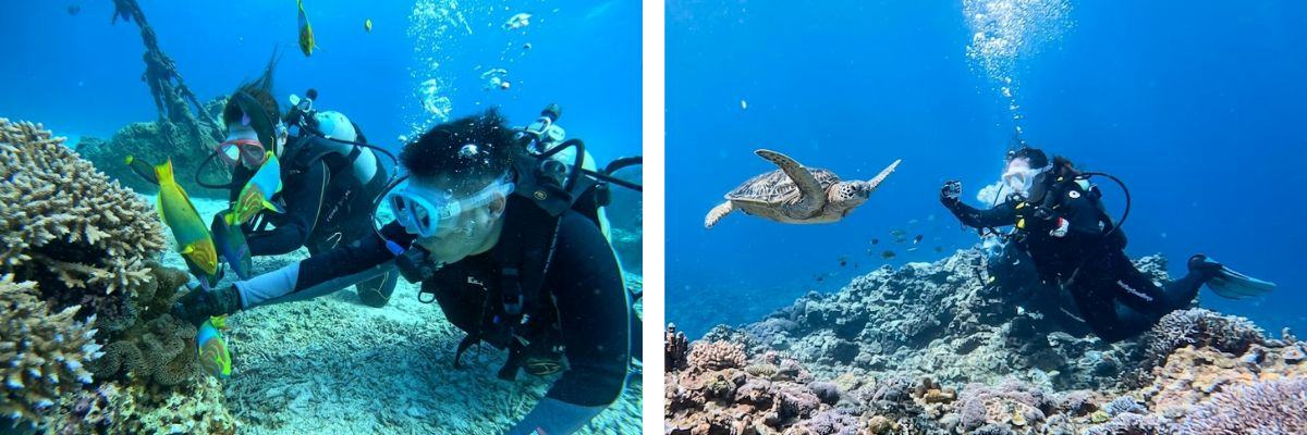 Tour lặn biển 1 ngày ở đảo Kerama: Kinh nghiệm du lịch & khám phá địa điểm, trải nghiệm hoạt động lặn biển snorkeling ở Okinawa
