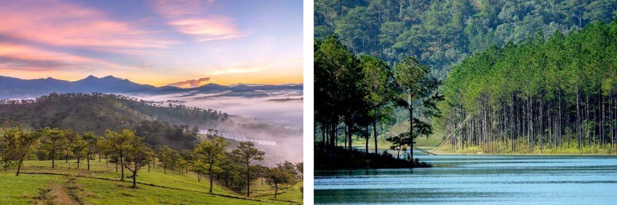 Trải nghiệm tour hái nấm, trekking tại rừng nguyên sinh dành cho trẻ em & gia đình ở Đà Lạt cùng HDV bản địa