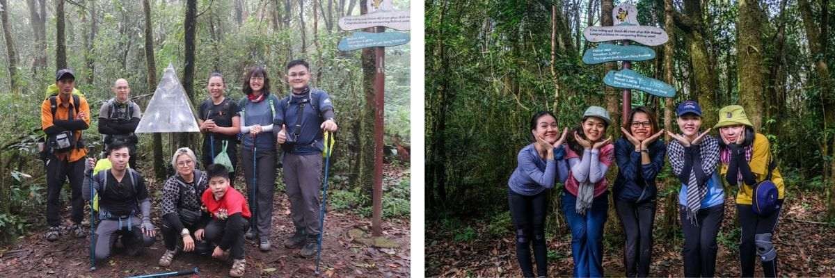 Trải nghiệm tour hái nấm, trekking tại rừng nguyên sinh dành cho trẻ em & gia đình ở Đà Lạt cùng HDV bản địa