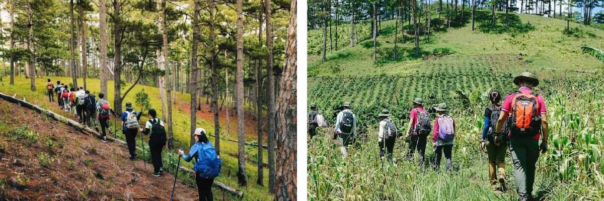 Trải nghiệm tour hái nấm, trekking tại rừng nguyên sinh dành cho trẻ em & gia đình ở Đà Lạt cùng HDV bản địa