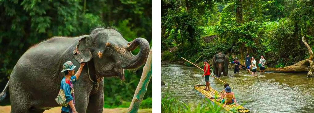 Trải nghiệm lái xe vượt địa hình ATV trong tour Chiang Mai 1 ngày, kết hợp lái xe địa hình Chiang Mai tại các địa điểm du lịch và mua vé lái xe địa hình ở Chiang Mai.