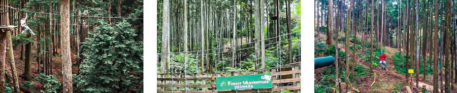 Vé trượt zipline ở Odawara gắn với tour Kanagawa 1 ngày, địa điểm du lịch Kanagawa và kinh nghiệm du lịch Nhật Bản.
