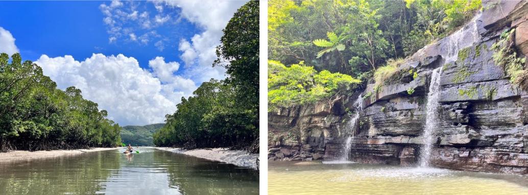 Tour 1 ngày chèo kayak/ Sup và lặn biển tham quan các địa điểm đẹp nhất ở Iriomote, Okinawa