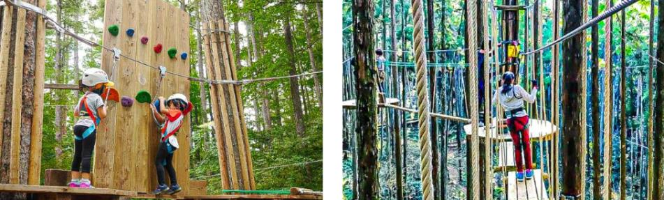 Vé trượt zipline ở Odawara gắn với tour Kanagawa 1 ngày, địa điểm du lịch Kanagawa và kinh nghiệm du lịch Nhật Bản.
