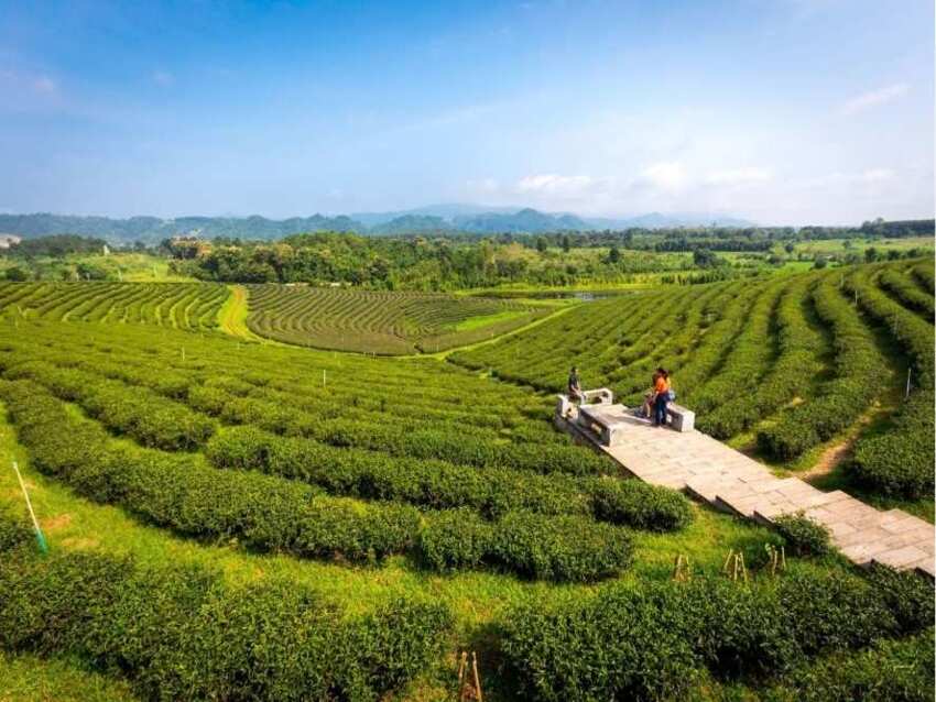 Trải nghiệm bay khinh khí cầu ngắm cảnh đẹp qua các địa điểm và kinh nghiệm tour du lịch tự túc Chiang Rai 1 ngày