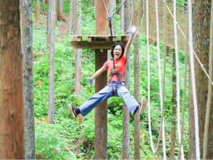 Vé Trượt Zipline Xuyên Rừng Odawara Ở Kanagawa, Nhật Bản